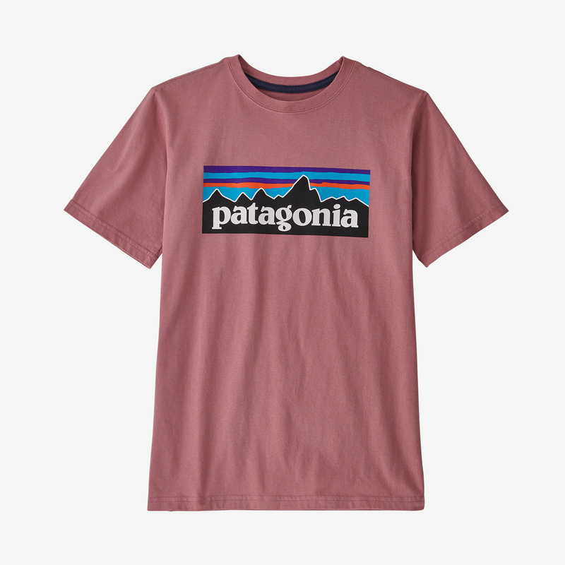Patagonia Kids' Regenerative Organic Certified™ Cotton P-6 Logo T-Shirt - Light Star Pink