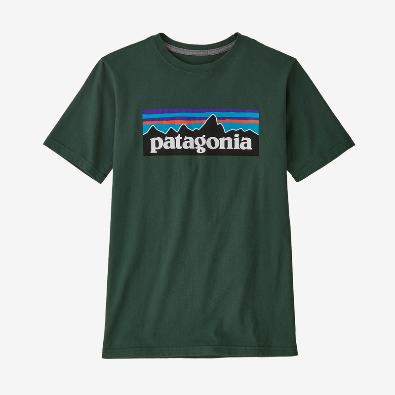 Patagonia Kids' Regenerative Organic Certified™ Cotton P-6 Logo T-Shirt - Pinyon Green