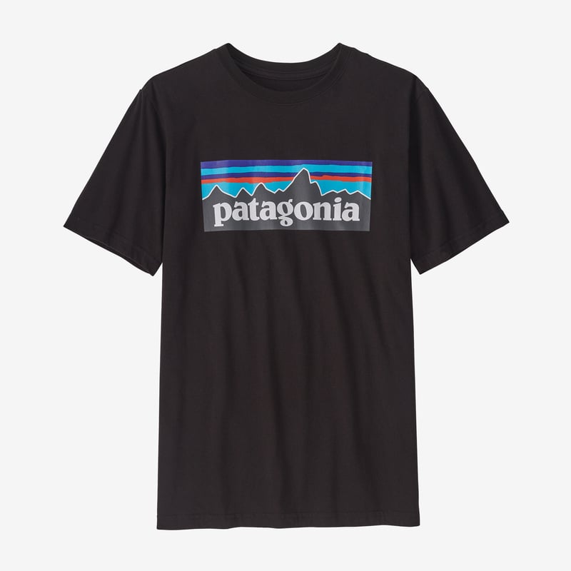 Patagonia Kids' Regenerative Organic Certified™ Cotton P-6 Logo T-Shirt - Black