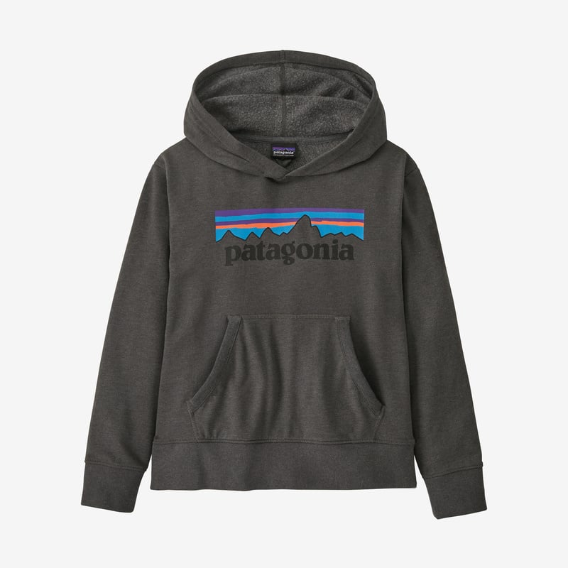 Patagonia Kids' Lightweight Graphic Hoody Sweatshirt - P-6 Logo: Forge Grey
