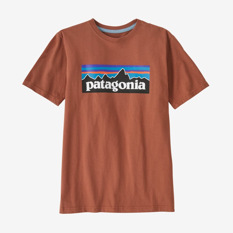Patagonia Kids' Regenerative Organic Certified™ Cotton P-6 Logo T-Shirt - Sisu Brown