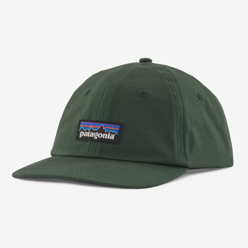 Patagonia P-6 Label Trad Cap - Pinyon Green
