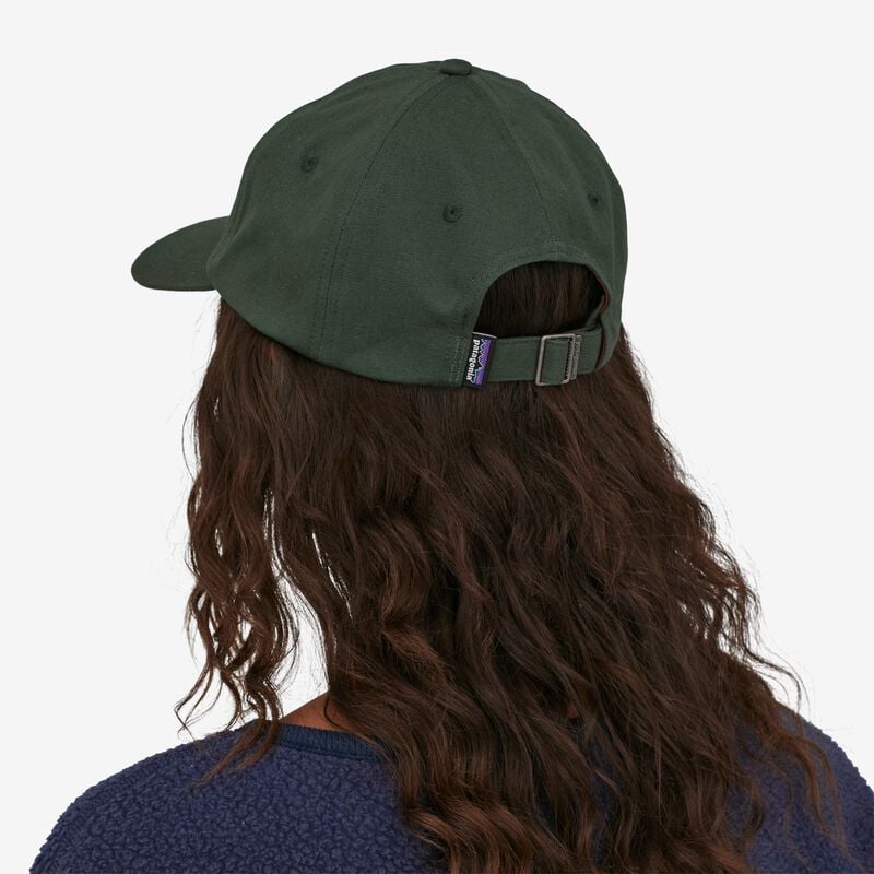 Patagonia P-6 Label Trad Cap - Pinyon Green