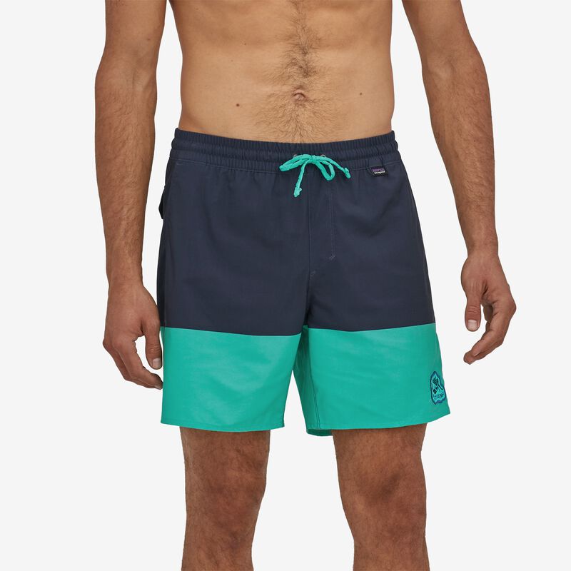 Patagonia Men's Hydropeak Volley Shorts - 16" - Defend our Oceans: Santa Cruz Block Tidepool Blue