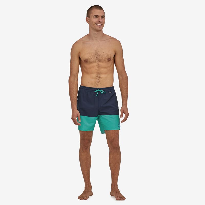 Patagonia Men's Hydropeak Volley Shorts - 16" - Defend our Oceans: Santa Cruz Block Tidepool Blue