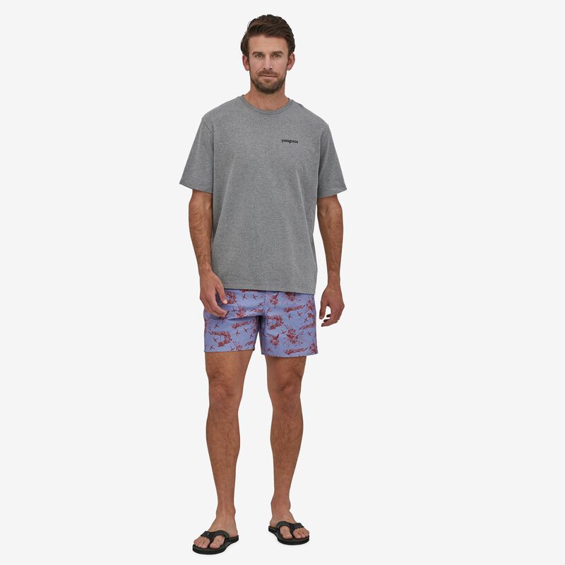 Patagonia Men's Hydropeak Volley Shorts - 16" - Faria: Light Current Blue