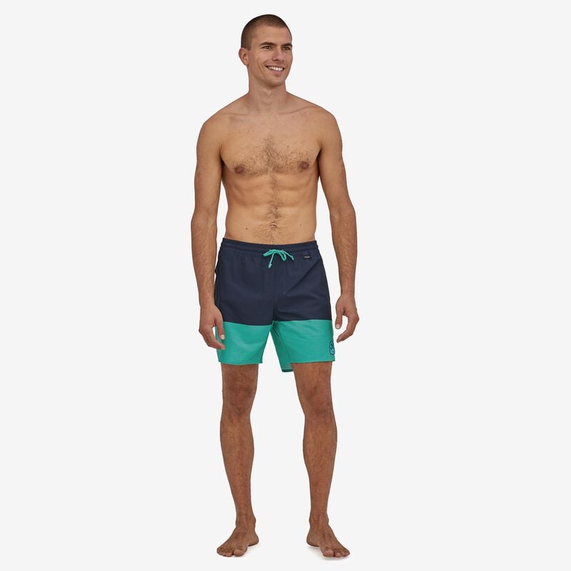 Patagonia Men's Hydropeak Volley Shorts - 16" - Defend our Oceans: Santa Cruz Block Tidepool Blue