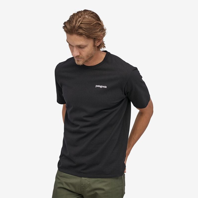 Patagonia Men's Fitz Roy Horizons Responsibili-Tee® - Steam Blue