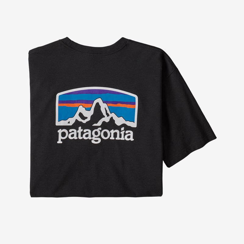 Patagonia Men's Fitz Roy Horizons Responsibili-Tee® - Black